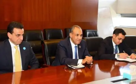 مصر وغانا تعقدان محادثات لتعزيز العلاقات الثنائية ودعم الاستقرار المشترك