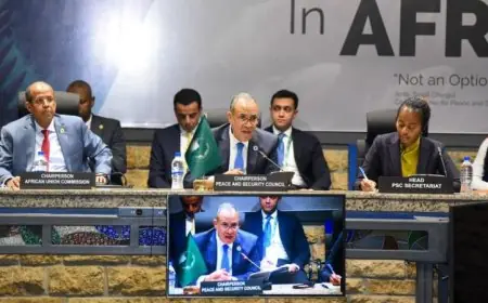 مصر تقود حملة دعم إفريقية لتعزيز وحدة وسيادة السودان والصومال