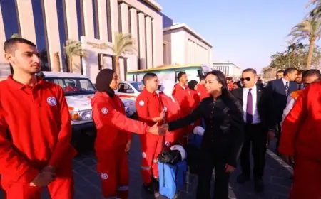 وزيرة التضامن تأمر برفع جاهزية فرق التدخل السريع وطوارئ الهلال الأحمر للاستجابة السريعة