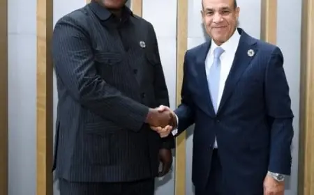 وزير الخارجية يناقش مع نظيره الجامبي تعزيز العلاقات الثنائية بين البلدين