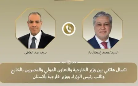 وزيرا الخارجية المصري والباكستاني يبحثان تطورات الأوضاع في غزة والملفات الإقليمية المهمة