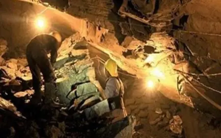 مصرع 4 عمال مناجم في حادث مروع بموقع تعدين في غرب أفريقيا الوسطى