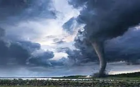 مدغشقر تشهد زيادة مؤلمة في عدد ضحايا إعصار جيزاني ليصل إلى 38 قتيلا