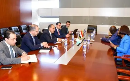 وزير الخارجية يبحث تعزيز التعاون مع وزيرة خارجية جمهورية أفريقيا الوسطى