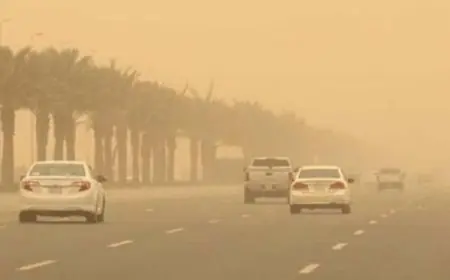 نصائح هامة للقيادة الآمنة على الطرق خلال العواصف الترابية