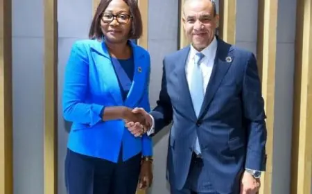 عبد العاطي يعقد اجتماعاً هاماً مع وزيرة خارجية جمهورية أفريقيا الوسطى