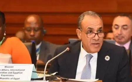 وزير الخارجية يؤكد التزام مصر القوي في دعم جهود استرداد التراث الإفريقي