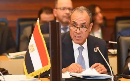 وزير الخارجية يحضر اجتماع لجنة القادة الأفارقة لمناقشة تحديات تغير المناخ