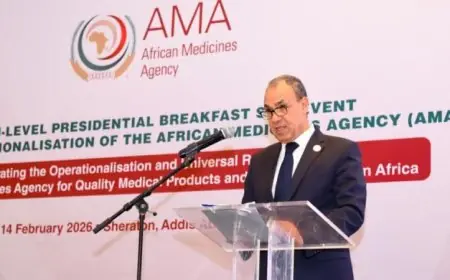 وزير الخارجية يعرض استراتيجية مصر لتطوير الصناعة الدوائية وتعزيز الأمن الصحي في إفريقيا