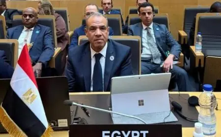 وزير الخارجية يقود وفد مصر في قمة الاتحاد الأفريقي بتكليف من رئيس الجمهورية