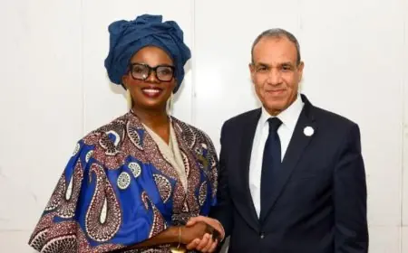 لقاء وزير الخارجية بمفوضة الطاقة والبنية التحتية في الاتحاد الإفريقي يعزز التعاون بين الدول الأفريقية