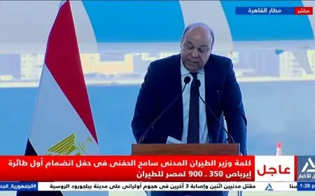 وزير الطيران المدني يحتفي بانضمام أحدث الطائرات العريقة لأسطول مصر للطيران