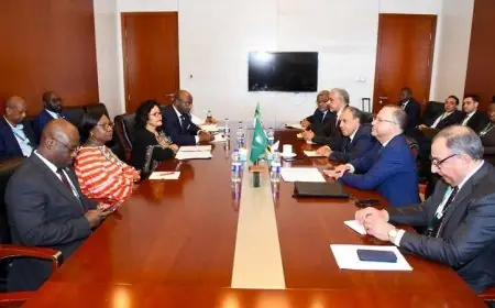 وزير الخارجية يكشف عن أولوية مصر في تعزيز التكامل القاري الأفريقي