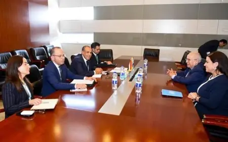 وزير الخارجية يبرز الموقف المصري الثابت من أزمة السودان