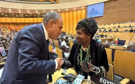 وزير الخارجية يعزز التعاون مع آليات حقوق الإنسان الأفريقية