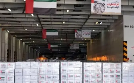 رئيس الهلال الأحمر الإماراتي يؤكد استمرار التعاون مع مصر لتقديم المساعدة إلى غزة