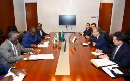 وزير الخارجية يلتقي نظيره من بوروندي لتعزيز العلاقات الثنائية بين البلدين