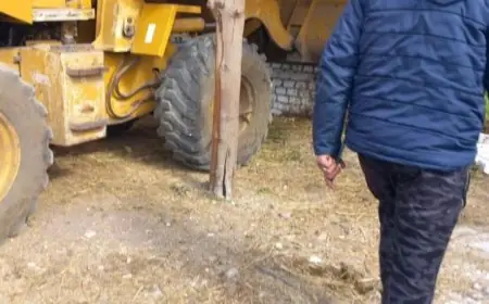 إزالة 1342 حالة تعد على الأراضي الزراعية في مختلف المحافظات خلال أسبوع حسب وزارة الزراعة