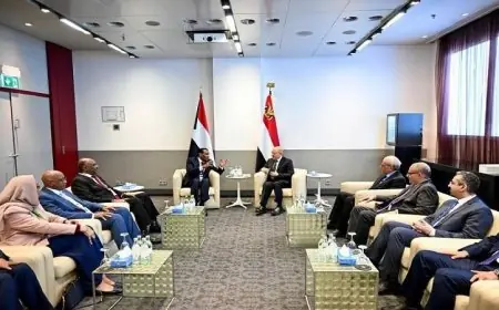 العليمي يؤكد التزام اليمن بدعم استعادة مؤسسات الدولة السودانية