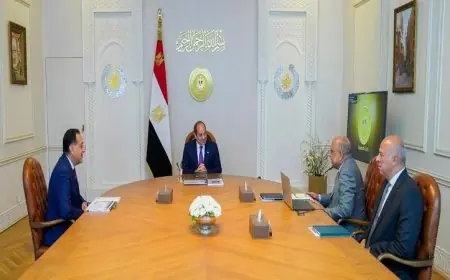 الرئيس السيسى يوجه لتعزيز جهود التوسع في مشاريع الطاقة المتجددة