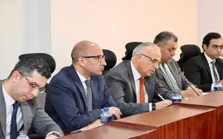 سويلم يجتمع مع لجنة الاقتصاد الأزرق والمياه والري في البرلمان الكيني لتعزيز التعاون الاقتصادي