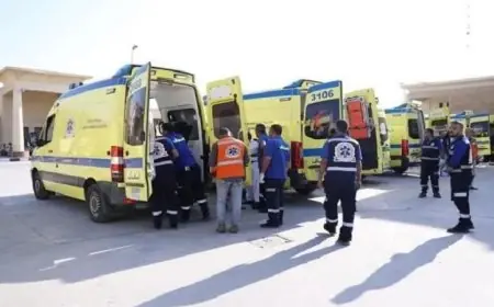 الدفعة الثانية عشرة من الجرحى والمرضى الفلسطينيين تصل إلى مصر لتلقي العلاج