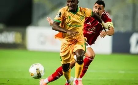 ترزيجيه يقود الأهلي لتحقيق انتصار مهم على يانج أفريكانز في دوري أبطال إفريقيا فيديو