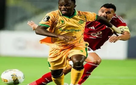 الأهلي يتألق ويضمن صدارة مجموعته في دوري أبطال أفريقيا بهدفين من تريزيجيه ضد يانج أفريكانز