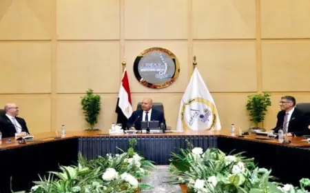 وزير الصناعة والنقل يتفقد تقدم العمل في مرافق المنطقتين الصناعيتين بأبو رواش وكوم أبو راضى