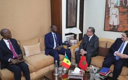 المغرب والسنغال يتعاونان لبناء مستقبل مشترك بعد أزمة نهائي كأس إفريقيا