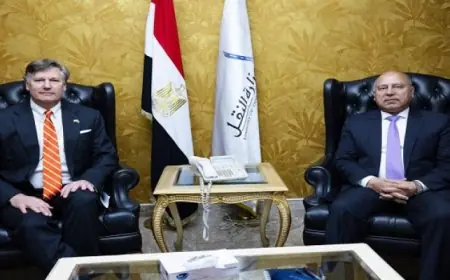 كامل الوزير يناقش مع نائب وزير الخارجية الأمريكي سبل تعزيز التعاون في النقل والصناعة