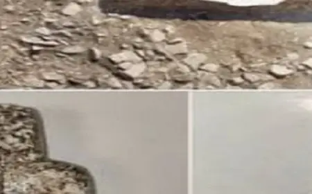 اكتشاف هيكل حجري وتمثال نادر يعود إلى عصور ما قبل التاريخ في قبرص