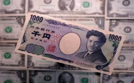 وزير الصناعة والنقل يناقش مع إيليت سولار استراتيجية توسعها في سوق الطاقة الشمسية بمصر