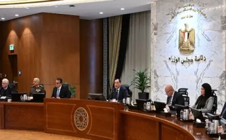 مجلس الوزراء يوافق على إنشاء منطقة استثمارية جديدة بجنوب الطريق الساحلي في العلمين الجديدة