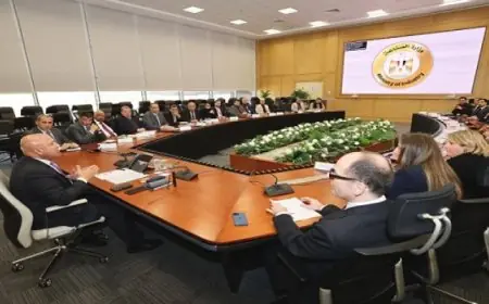 تعاون مصري نمساوي لتعزيز صناعة مكونات ووسائل النقل في مصر