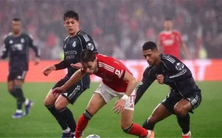 اكتشاف عقوبات صارمة من يويفا ضد ريال مدريد وبنفيكا بسبب إهانات الحكم والتأخير في المباريات