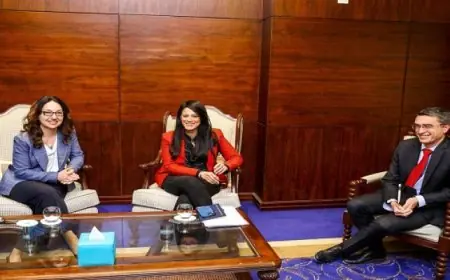 المشاط تلتقي وفد البنك الدولي لتعزيز التنمية الاقتصادية والاستثمارات المناخية