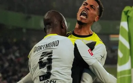 بوروسيا دورتموند يسجل أرباحاً تصل إلى 18.7 مليون يورو في نتائج مثيرة لعام 2023