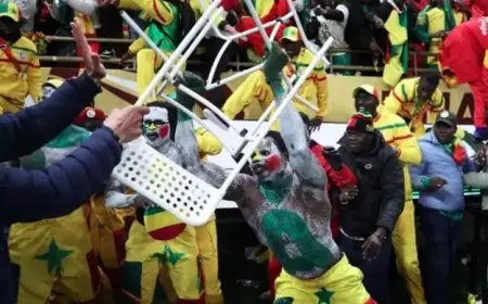 الأحكام الصادرة بحبس 18 مشجع سنغالي بسبب أحداث نهائي أمم إفريقيا تكشف تفاصيل مثيرة