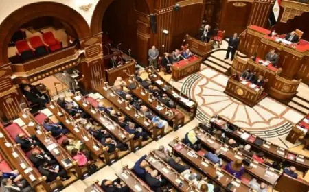 مناقشة شاملة في مجلس الشيوخ حول تنظيم استخدام الأطفال للهواتف المحمولة ومخاطر الإنترنت