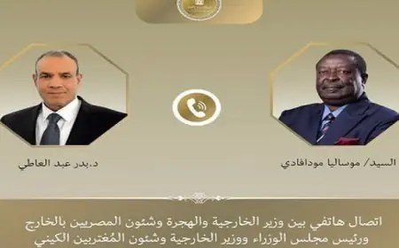 وزير الخارجية يناقش مع نظيره الكيني سبل تعزيز التعاون الثنائي بين مصر وكينيا