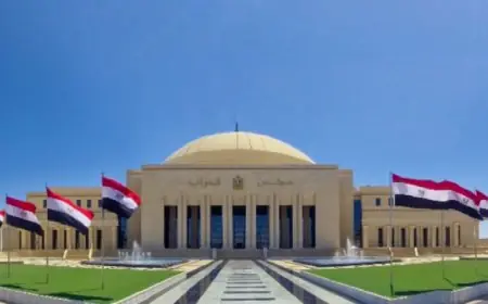 مجلس النواب يعود لعقد جلساته العامة الثلاثاء لمناقشة تعديل قانون نقابة المهن الرياضية و5 اتفاقيات دولية