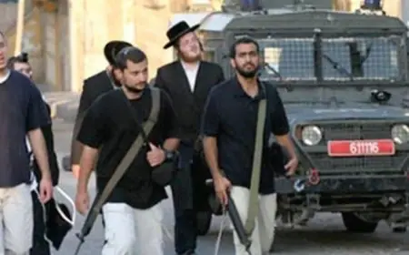 مستوطنون يشنون هجومًا على مناطق سكنية للمواطنين في الأغوار