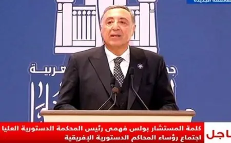 رئيس المحكمة الدستورية العليا يؤكد دور القضاء الدستوري الإفريقي في تعزيز الديمقراطية واستقرار المجتمعات