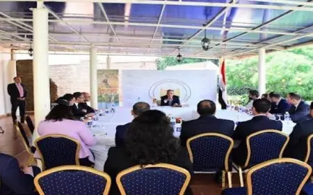 وزير الخارجية يناقش قضايا غزة في اجتماع وزراء العرب والمسلمين بسلوفينيا