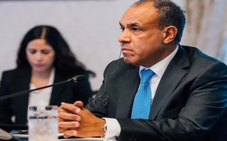 وزير الخارجية يؤكد أن الحلول الدبلوماسية هي المفتاح لتحقيق استقرار المنطقة وحل أزماتها