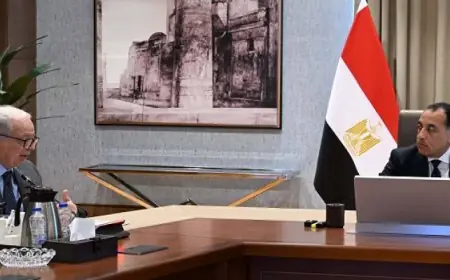 عبد العاطى يتواصل هاتفياً مع مدير الوكالة الدولية للطاقة الذرية لمناقشة مستجدات ملف إيران وأهمية خفض التصعيد في المنطقة