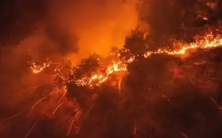 كوريا الجنوبية تشهد إخلاء عدد من المناطق السكنية بسبب حرائق الغابات المستمرة