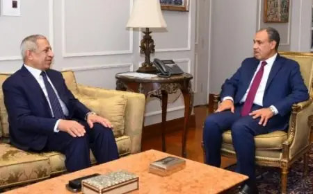 وزير الخارجية و رئيس الأكاديمية العربية للعلوم والتكنولوجيا يناقشان سبل تعزيز التعاون المشترك