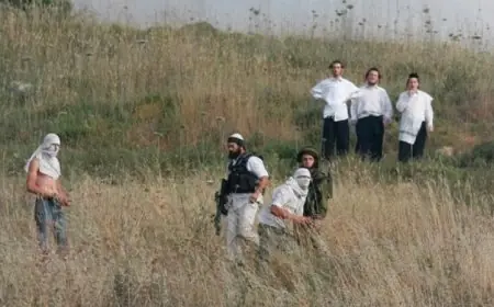 مستوطنون يهاجمون منازل الفلسطينيين في جنوب الخليل